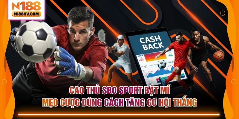 Cao thủ SBO Sport bật mí mẹo cược đúng cách tăng cơ hội thắng