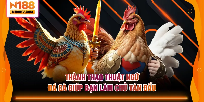 Thành thạo thuật ngữ đá gà giúp bạn làm chủ ván đấu